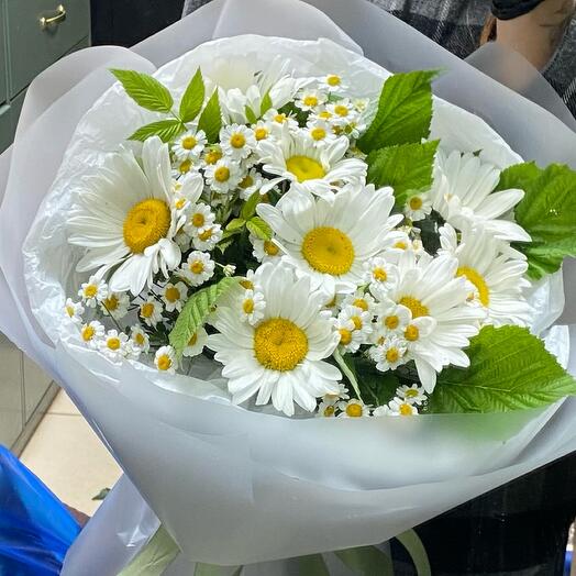 Микс летних ромашек