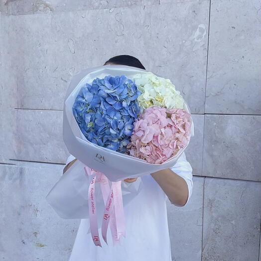 3 Гортензии премиум