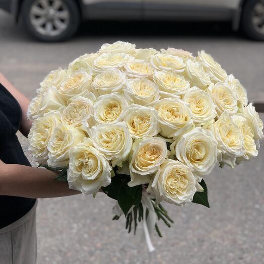 Роза Канделайт