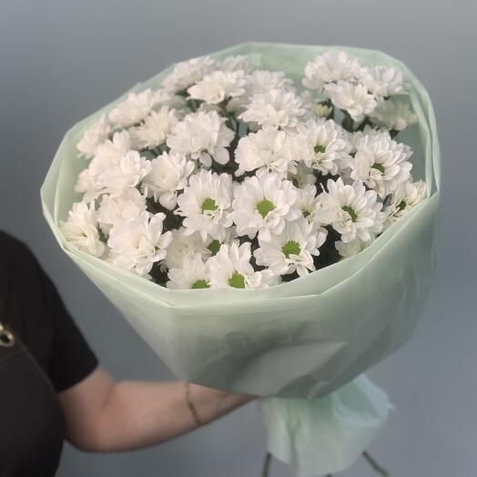 Кустовая хризантема ( ромашка)