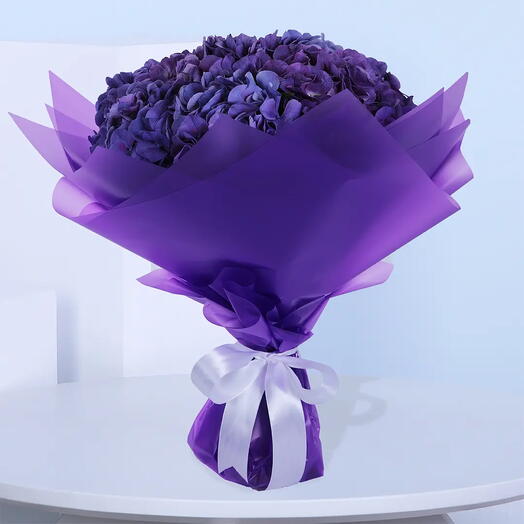 Сострадательная Гортензия