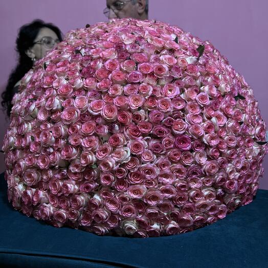 505 roses