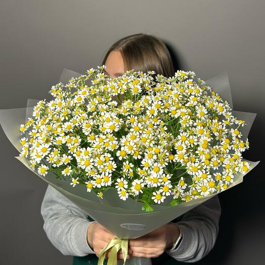 Летнее настроение -ромашки 🌼
