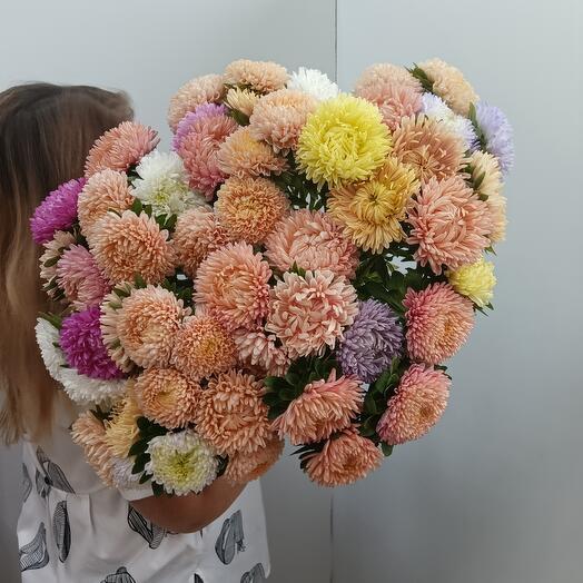 Букет астра микс из 51 штучки
