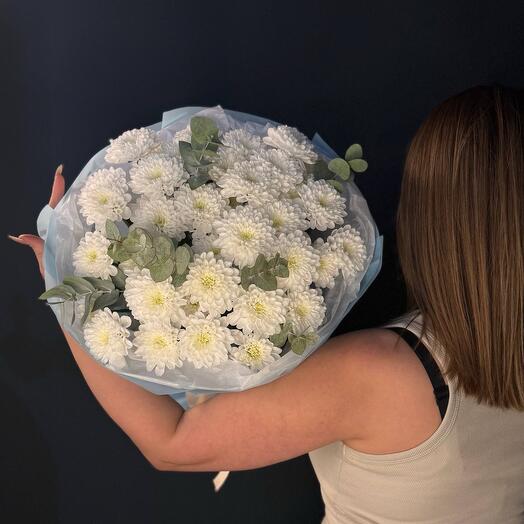 Хризантема алтай с эвкалиптом