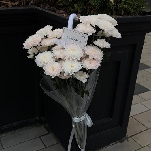 Элегантность