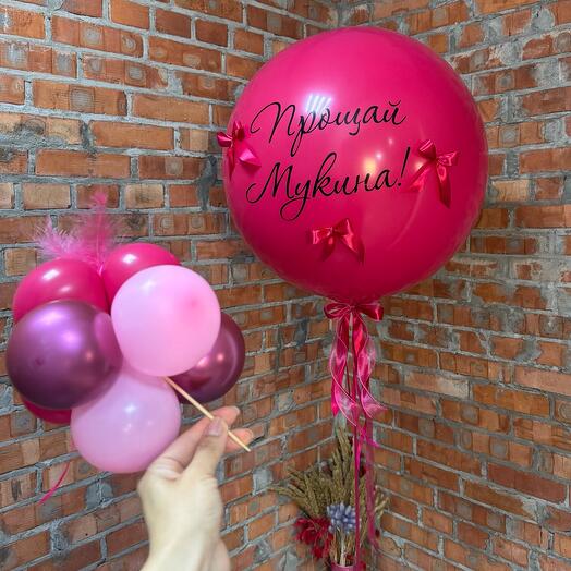 Шар на Девичник «Прощай девичья фамилия»