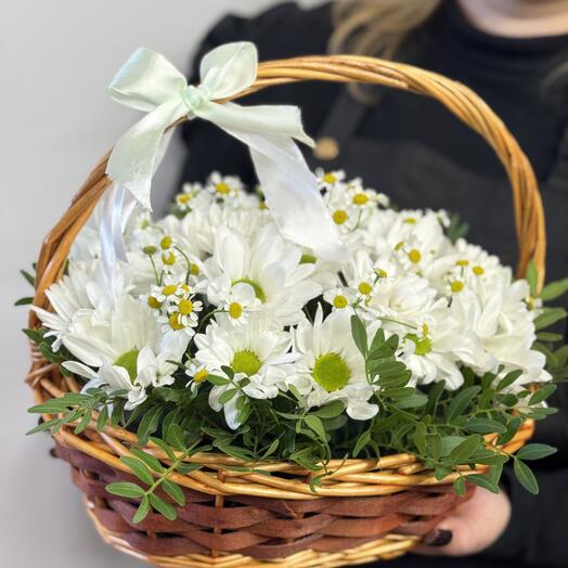 Корзина с хризантемой "Хризантема Ромашка"