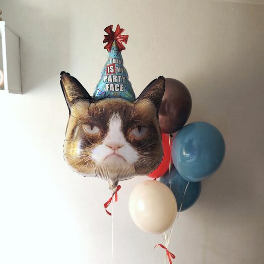 Шары на день рождения для мужчины , для мальчика , для подростка, сына, коллеги кот в колпаке