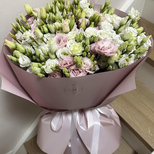 Eustoma L