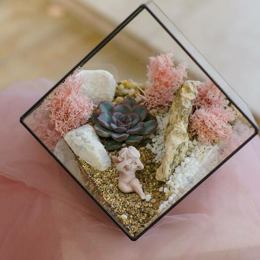 Флорариум с сукклентом "Милые истории"