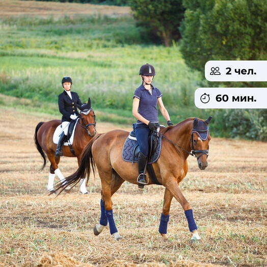 Ход конем. Урок верховой езды