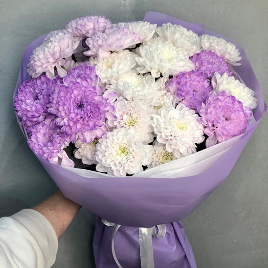 Моно букет «Хризантема Алтай💜»