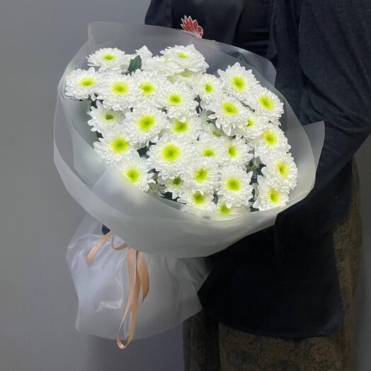 Ромашковое поле