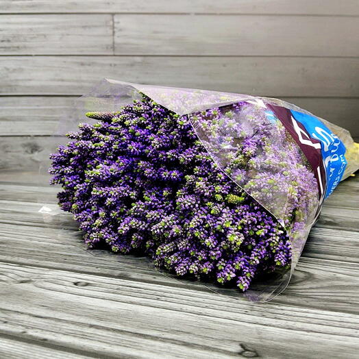 Пачка (20 шт.) Вероника кустовая Фиолетовый 50 см Арт. Fc00615c