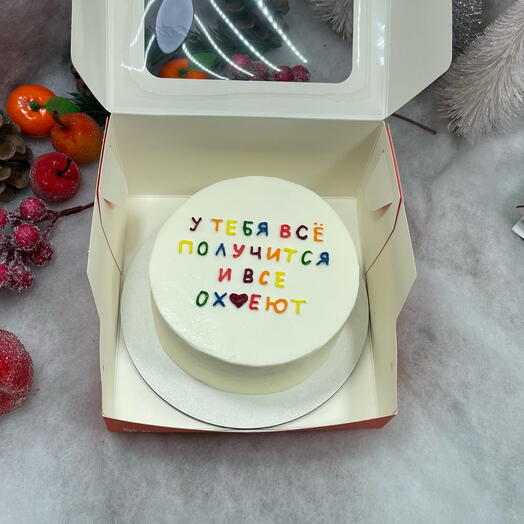 Бенто торт «у тебя всё получится» 600