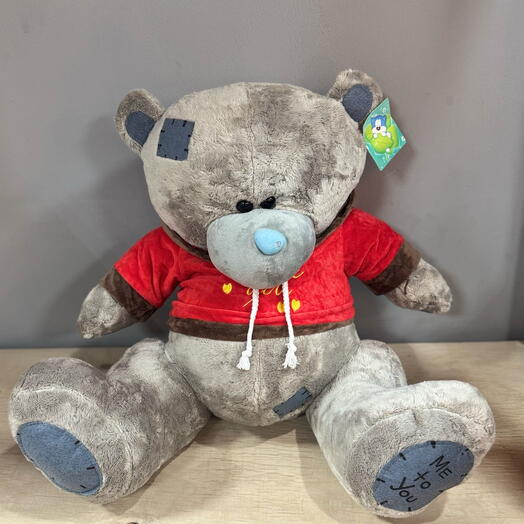 Тедди аюы жұмсақ ойыншық