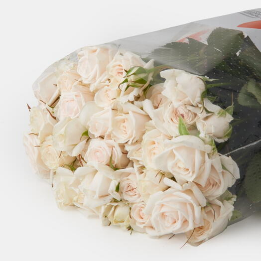 Пачка роз (10 штук) Эксклюзив Сенсейшен, 50 см