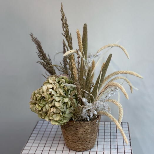 Композиция из сухоцветов «Velours Sec»