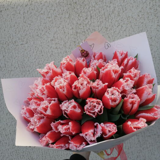 35 махровых тюльпанов