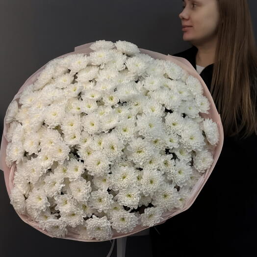 Chysanthemums Bouquet N-150