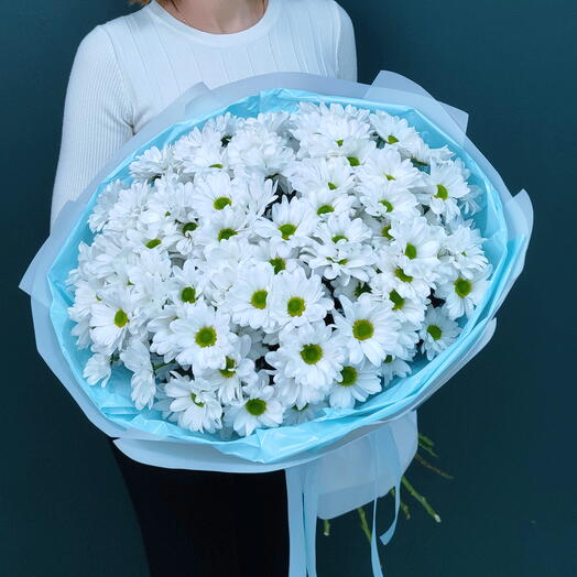 Кустовая хризантема Ромашка,15шт