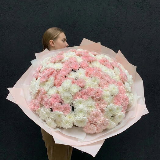 🌸 50 xrizantema - 50 xrizantema