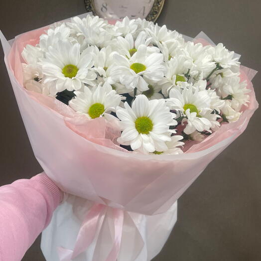 Нежные ромашки 🌸