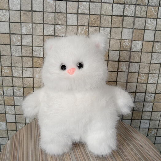 Котик белый