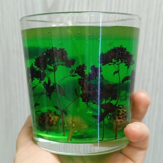 Ботаническая свеча  из геля