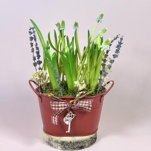 Композиция из первоцветов: Гиацинты, Мускари и лаванда ️