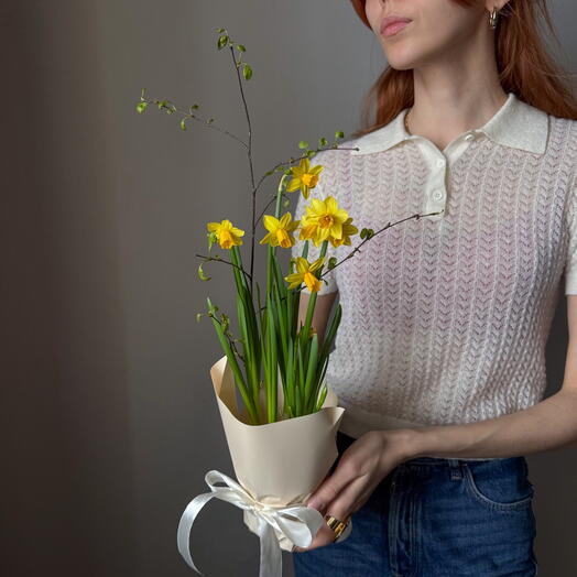 Цветущий нарцисс в горшке с изящными ветками