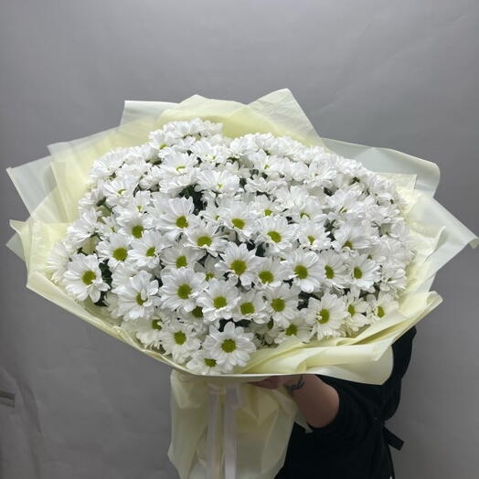 Ромашки