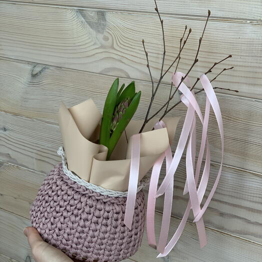 Гиацинт первоцвет в корзине