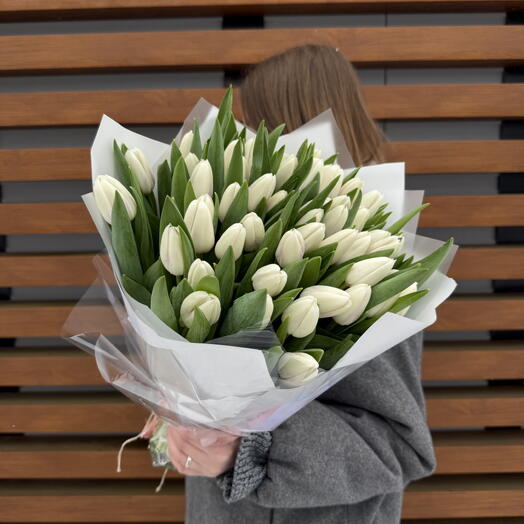 49 белых тюльпанов