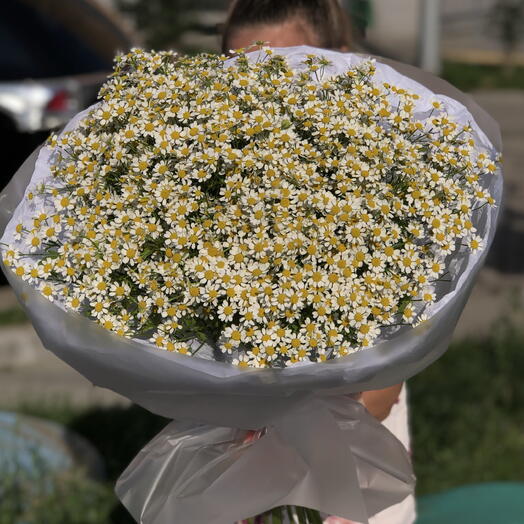 Букет ромашек