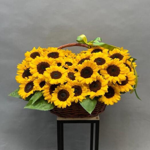 51 sunflowers in a basket