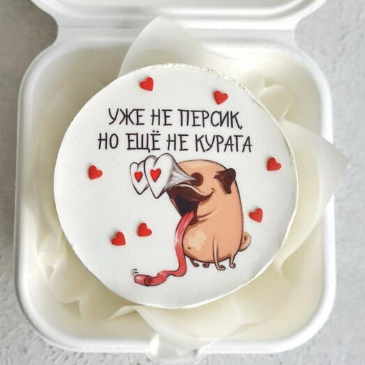 Бенто торт уже не персик но еще не курага на день рождения подруги сестры прикол