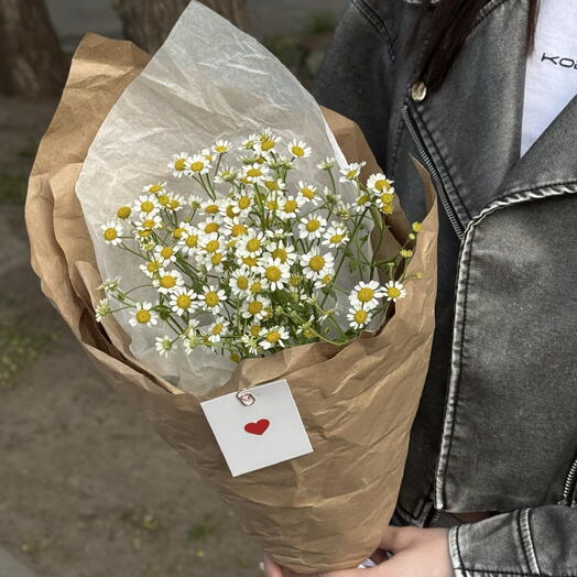 Кулек ромашек
