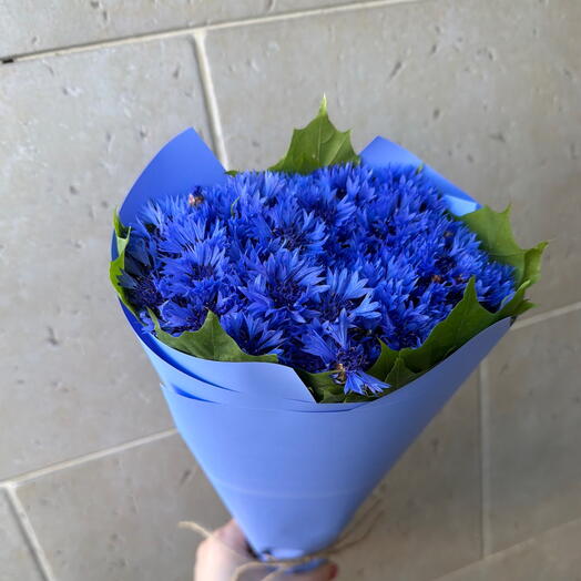 Букет васильков 💙