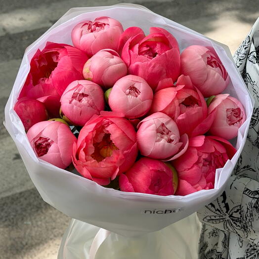 Peony mix Coral with pink