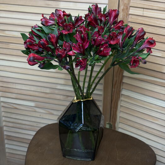 Пачка Альстромерия Red красная (10 шт)