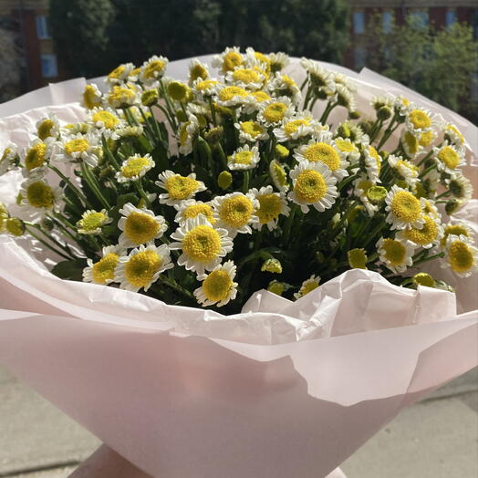 Ромашка