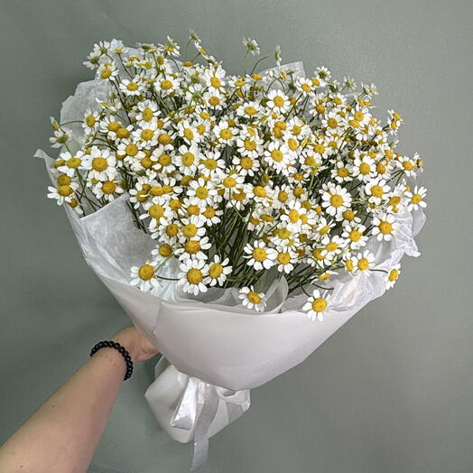 Моно букет из ромашек