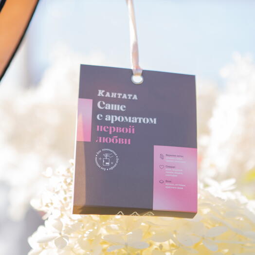 Саше «Первая любовь», Кантата