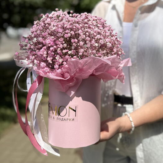Коробочка с гипсофилой