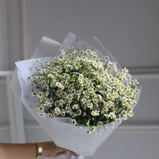 Букет из ромашек (танацетум)