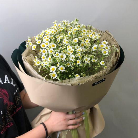 Букет из 7 веток ромашек Матрикария
