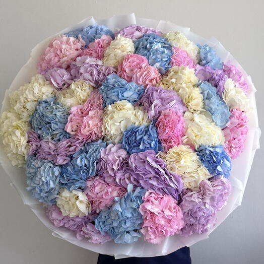 Букет гортензий разноцветных 🌸