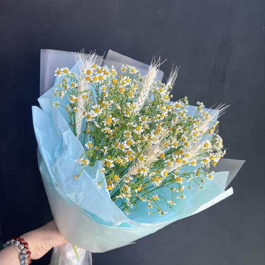 Ромашки